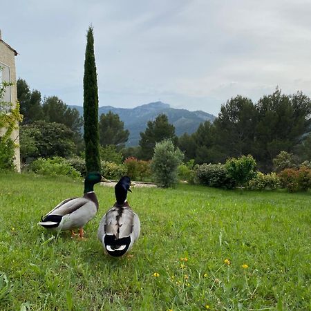 La Maison Perchee Auriol 외부 사진